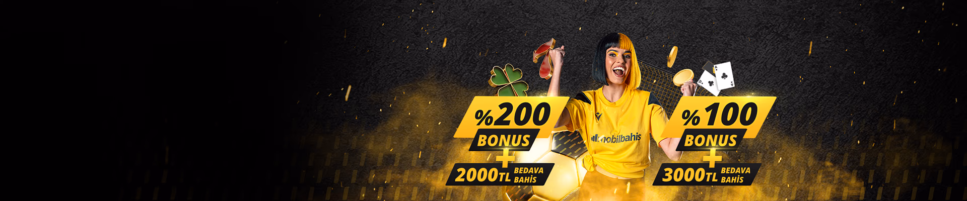 Promotional banner